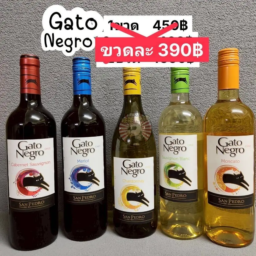 GATONEGRO