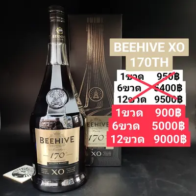 BEEHIVE XO 170TH
