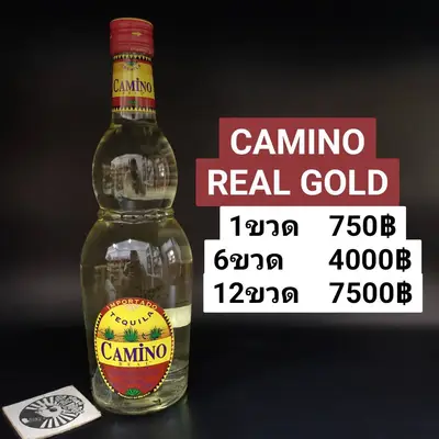 CAMINO REAL GOLD