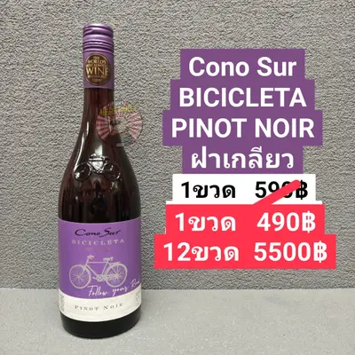 Cono Sur BICICLETA PINOT NOIR