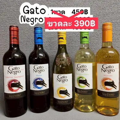 GATONEGRO