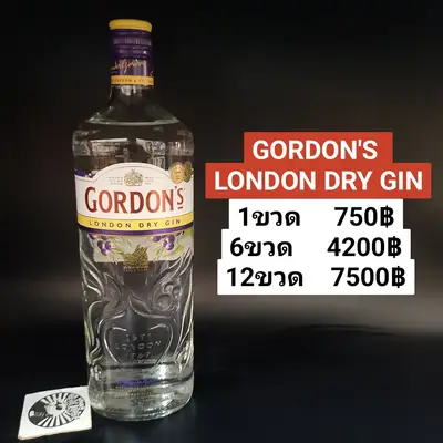 GORDON'S DRY GIN 1L