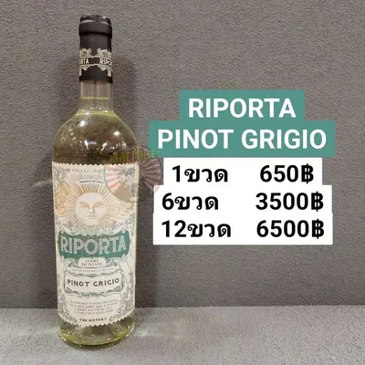 RIPORTA PINOT GRIGIO