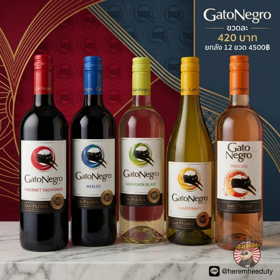 GATONEGRO